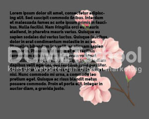 Mengatur Text Warp Dengan Gambar di Illutrator