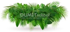 Membuat Warna Daun Menjadi Minimalis di