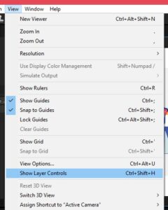 Cara Menampilkan Garis Transfrom di After Effect