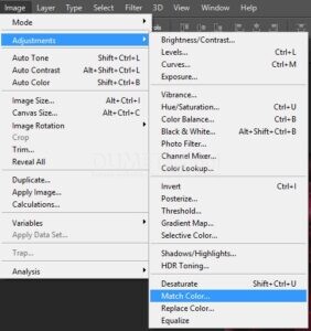 Cara Menggunakan Match Color di Adobe Photoshop