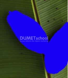 Membuat Manipulasi Warna di Adobe Photoshop