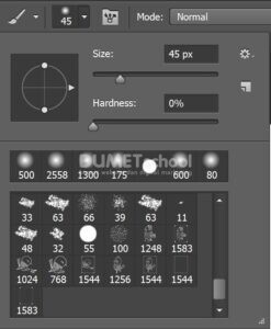 Cara Membuat Doodle Bird di Photoshop Dengan Cepat