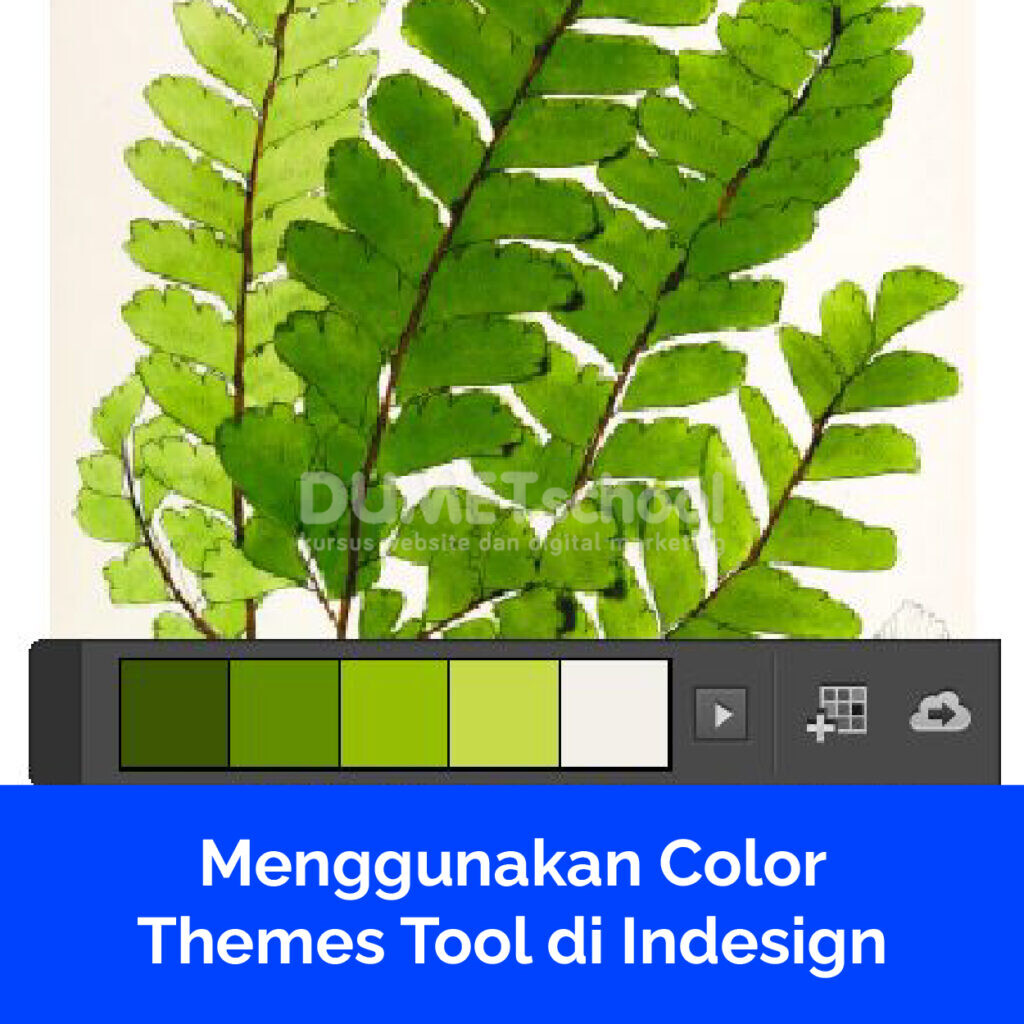 Menggunakan Color Themes Tool di Indesign