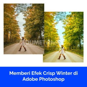 Memberi Efek Crisp Winter di Adobe Photoshop