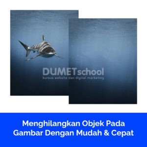 Menghilangkan Objek Pada Gambar Dengan Mudah & Cepat