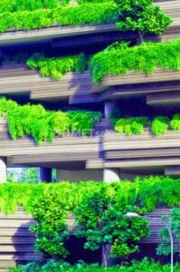 Membuat Warna Daun Lebih Hijau di Adobe Photoshop