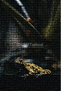 Cara Membuat Efek Mosaic Tiles di Illustrator