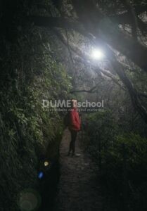 Membuat Cahaya di Tengah Gelapnya Hutan