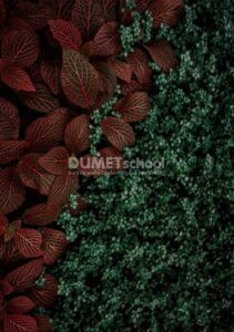 Membuat Sebagian Gambar Menjadi Abstrak di Photoshop