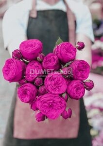 Mengganti Warna Bunga dengan Cepat di Adobe Photoshop