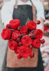 Mengganti Warna Bunga dengan Cepat di Adobe Photoshop