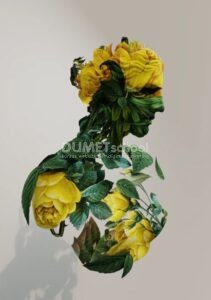 Mengubah Warna Double Exposure di Adobe Photoshop