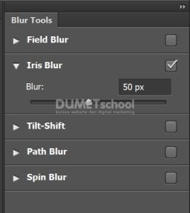 Membuat Background Blur dengan Iris Blur di Photoshop