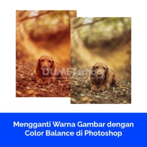 Mengganti Warna Gambar dengan Color Balance di Photoshop