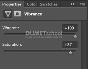 Mengubah Warna Gambar dengan Vibrance di Adobe Photoshop