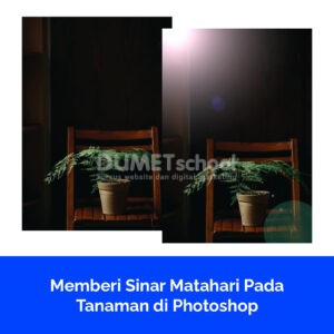 Memberi Sinar Matahari Pada Tanaman di Photoshop