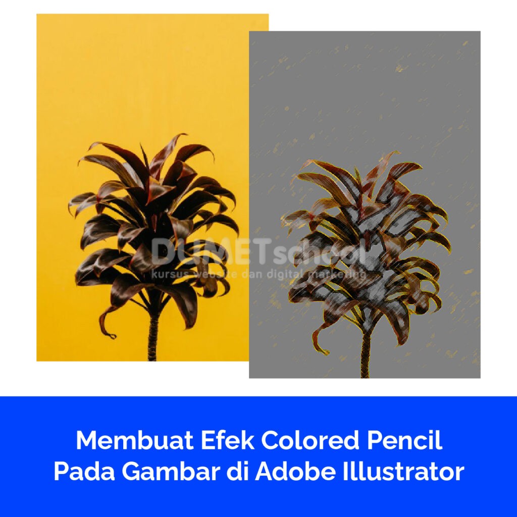 Membuat Efek Colored Pencil Pada Gambar di Adobe Illustrator