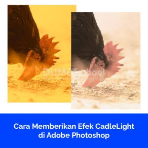 Cara Memberikan Efek CadleLight di Adobe Photoshop