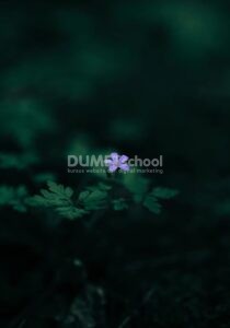 Mengubah Satu Warna Objek Pada Gambar di Photoshop