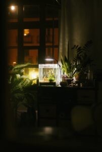Cara Mengganti Warna Lampu Tidur di Adobe Photoshop