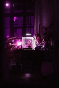 Cara Mengganti Warna Lampu Tidur di Adobe Photoshop