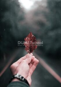 Mengedit Gambar Menjadi Lebih Baik dari Sebelumnya