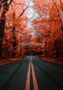 Mengganti Warna Musim Menjadi Musim Kemarau di Adobe Photoshop