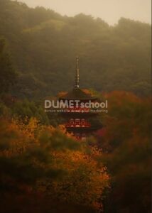 Membuat Efek Fallcolors di Adobe Photoshop