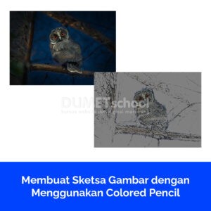 Membuat Sketsa Gambar dengan Menggunakan Colored Pencil