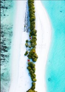 Menghilangkan Objek Menggunakan Patch Tool di Photoshop