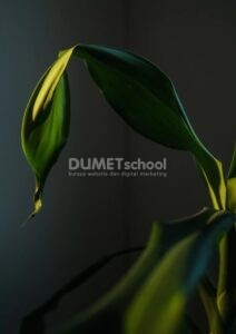 Membuat Efek Polar Coordinate Pada Gambar di Photoshop