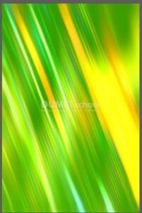 Mengubah Warna Gambar dengan Adjust Color di Adobe Illustrator