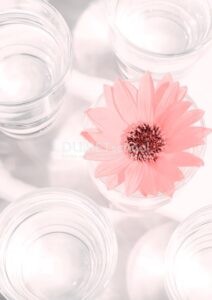 Mengubah Warna Objek Bunga dengan Color Lookup di Photoshop