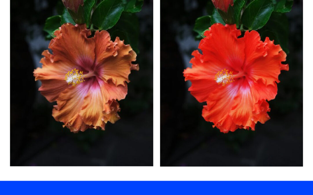 Membuat Warna Merah Tampak Cerah dan Berwarna di Photoshop