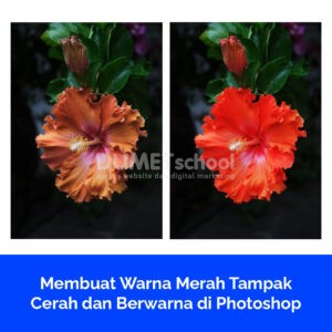 Membuat Warna Merah Tampak Cerah dan Berwarna di Photoshop