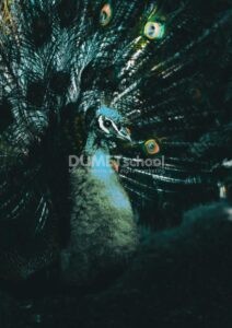 Membuat Warna Gambar Menjadi Lebih Pekat di Adobe Photoshop