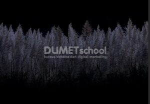 Mengganti Warna Daun dengan LateSunset di Adobe Photoshop