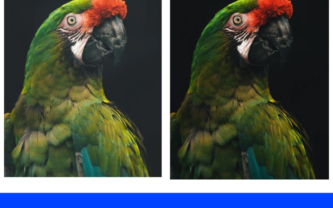 Mengubah Warna Gambar dengan Curves di Adobe Photoshop