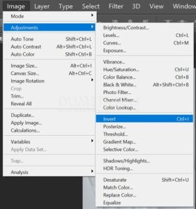 Menerapkan Efek Invert Pada Gambar di Adobe Photoshop