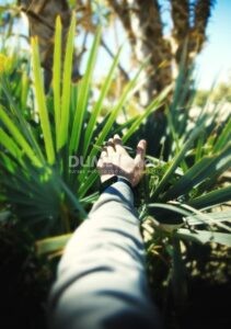 Membuat Daun Menjadi Warna Hijau dengan Color Lookup di Photoshop