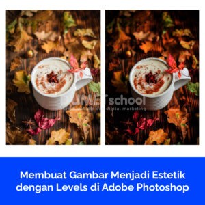 Membuat Gambar Menjadi Estetik dengan Levels di Adobe Photoshop