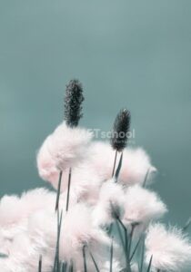 Mengubah Warna Background Menjadi Warna Langit di Photoshop