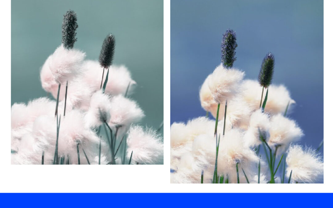 Mengubah Warna Background Menjadi Warna Langit di Photoshop