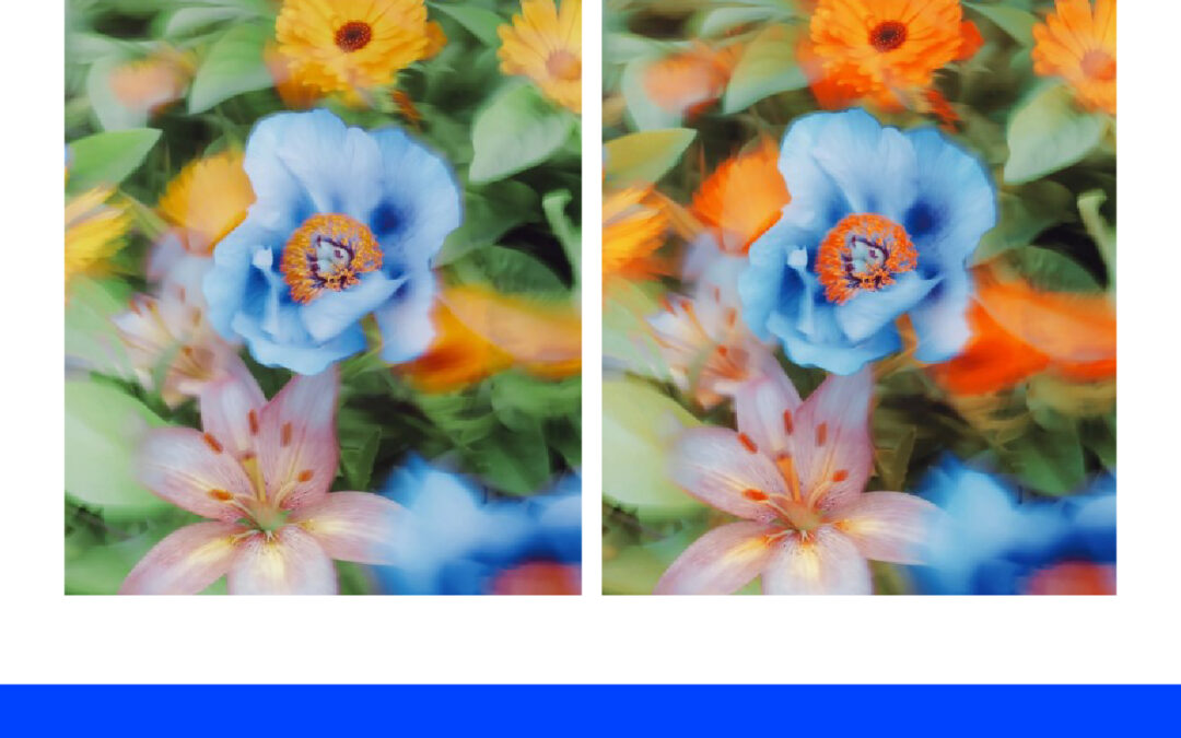 Mengenal Lebih Jauh Apa Itu Selective Color di Photoshop