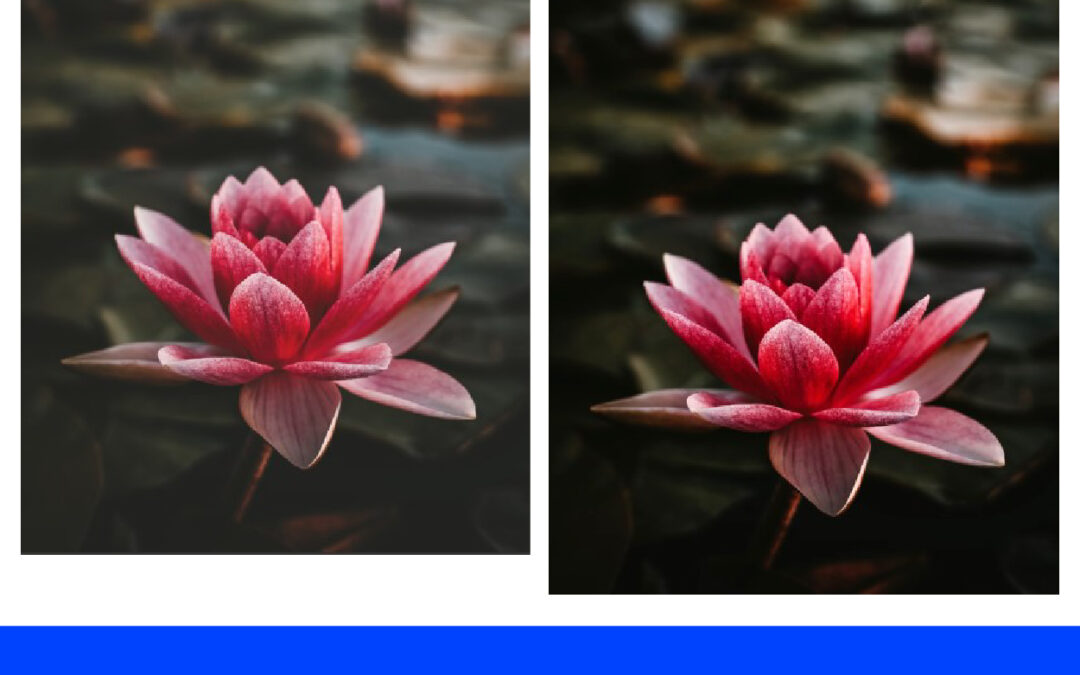 Memberikan Efek Auto Contrast Pada Gambar di Adobe Photoshop