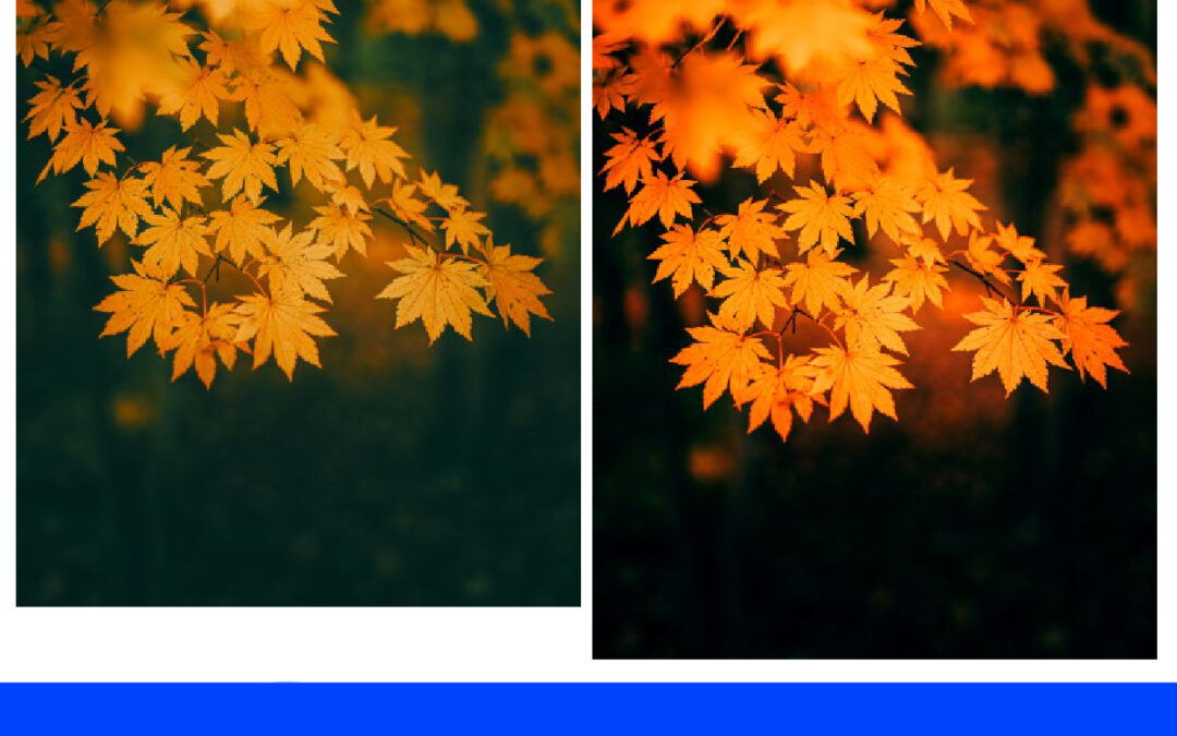 Memberi Efek Hangat dengan Color Lookup Pada Gambar di Photoshop