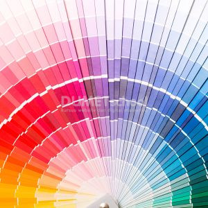 Bagaimana Memilih Warna yang Tepat dalam Desain?