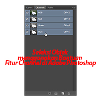 Seleksi Objek menggunakan Bantuan Fitur Channel di Adobe Photoshop