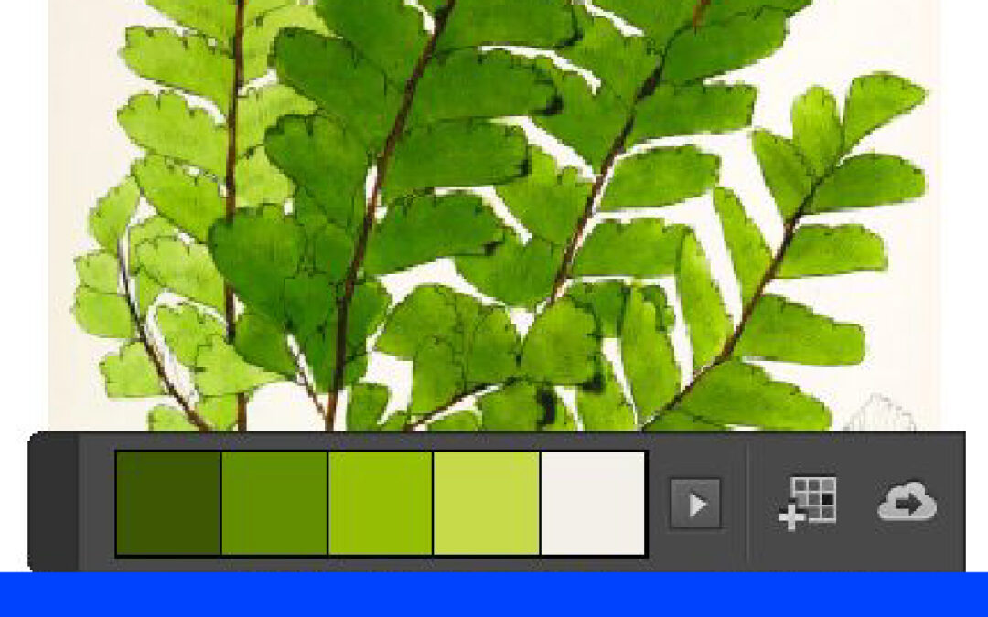 Menggunakan Color Themes Tool di Indesign