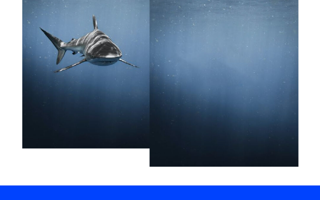 Menghilangkan Objek Pada Gambar Dengan Mudah dan Cepat